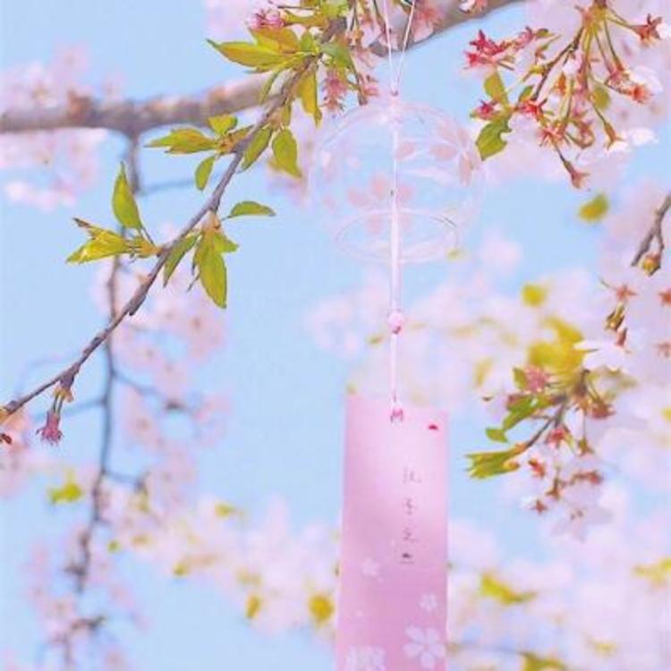 落合扶树（饰 水岛） - 国产剧全集免费在线观看 - 在线追剧